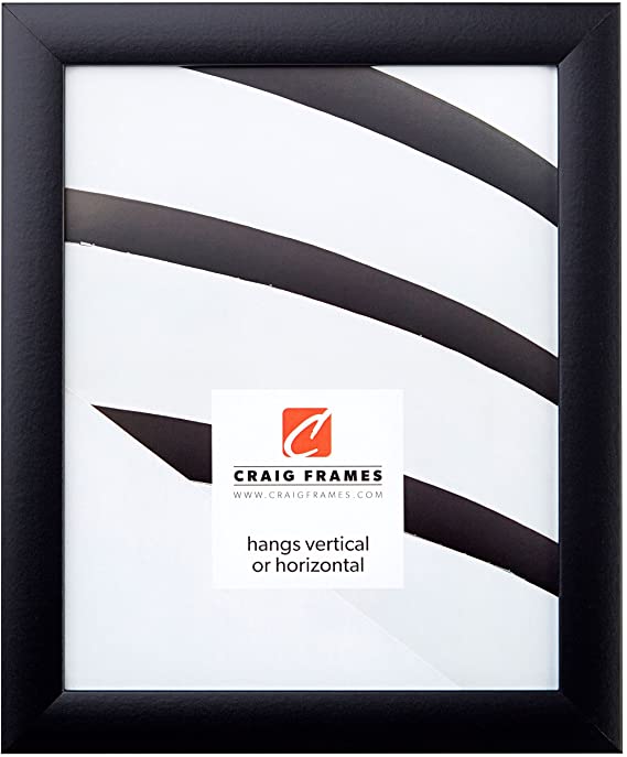 Photo 1 of Craig Frames Contemporary Picture Frame, 18 x 24 Inch, Black
