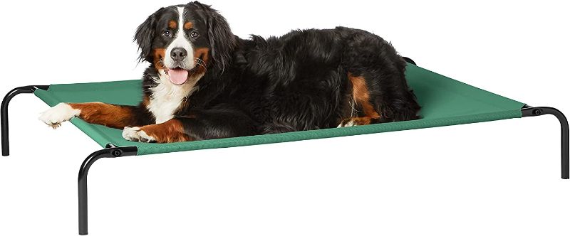 Photo 1 of Amazon Basics Cooling Elevated Pet Bed, GREEN, XL