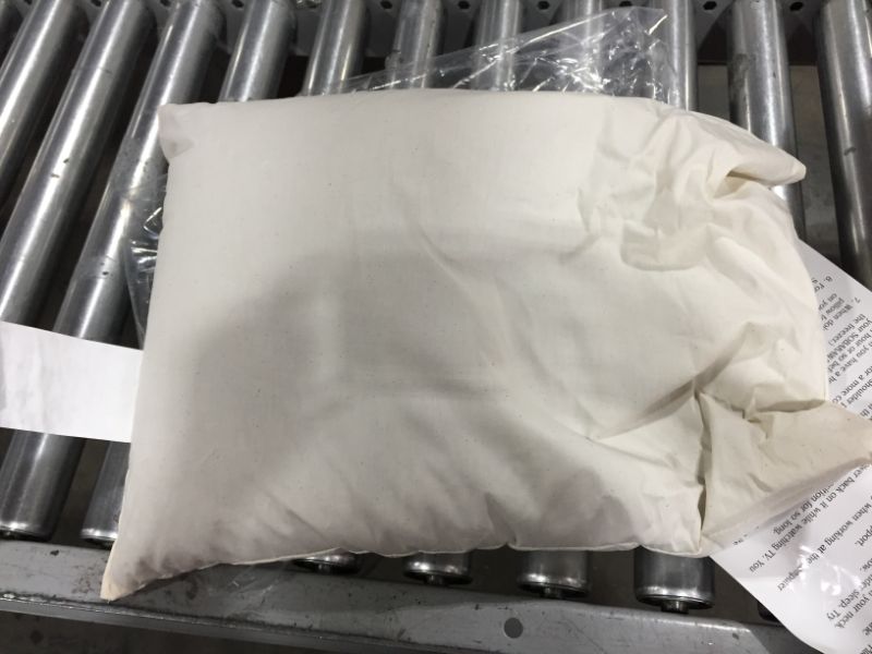 Photo 1 of Sobakawa Buckwheat Pillow
