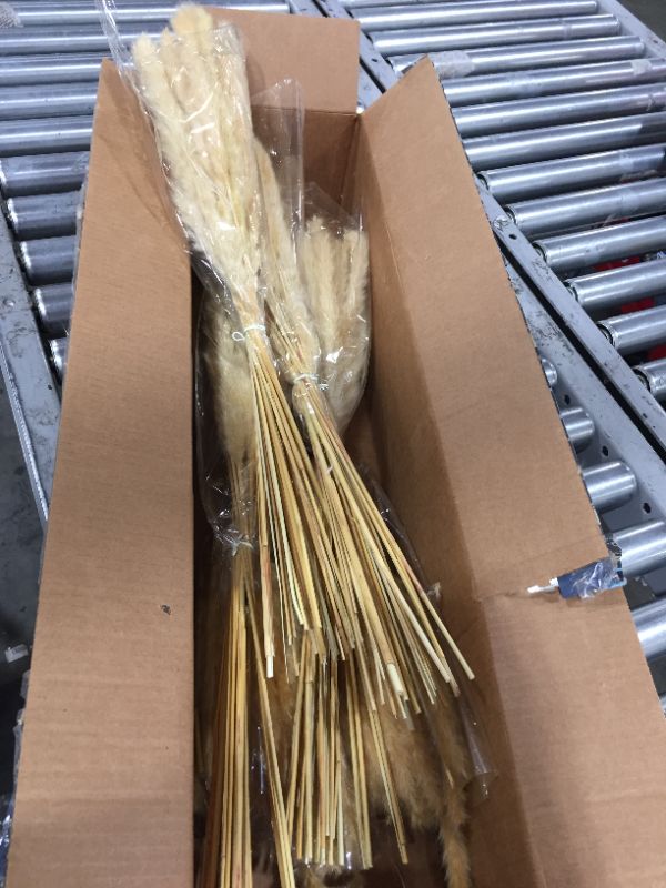 Photo 1 of  Faux Pampas Grass  Artificial Pampas Grass Decor 6 pack 
