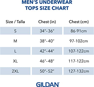 Photo 2 of Gildan Men's V-Neck T-Shirts, Multipack   5 PACK 2XXL
