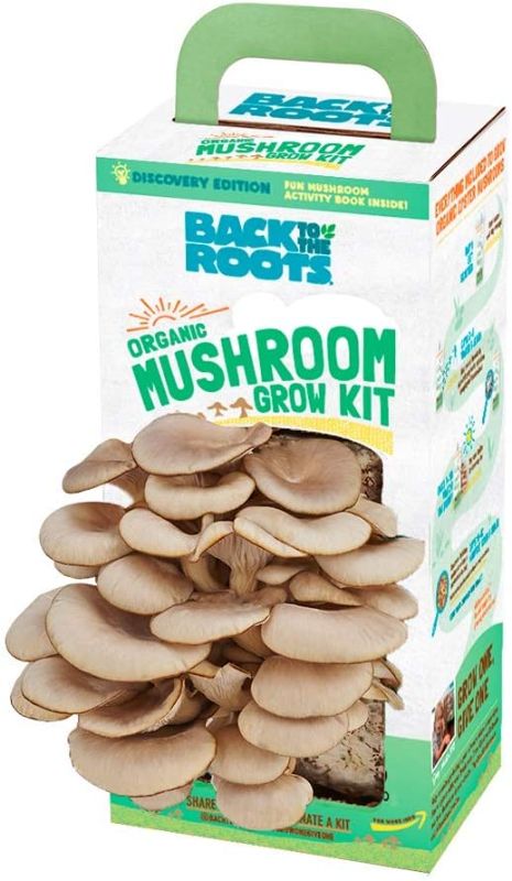 Photo 1 of Back to the Roots Organic Mushroom Growing Kit, Harvest Gourmet Oyster Mushrooms In 10 days, Top Gardening Gift, Holiday Gift, & Unique Gift
