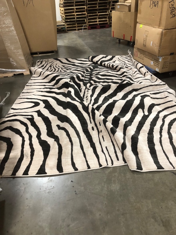 Photo 2 of 10'x13' Zebra Stripe Woven Area Rug - Opalhouse™

