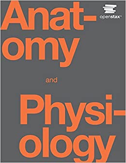 Photo 1 of Anatomy and Physiology by OpenStax (Official Print Version, paperback, B&W) 1st Edition
PART 2 OF 2