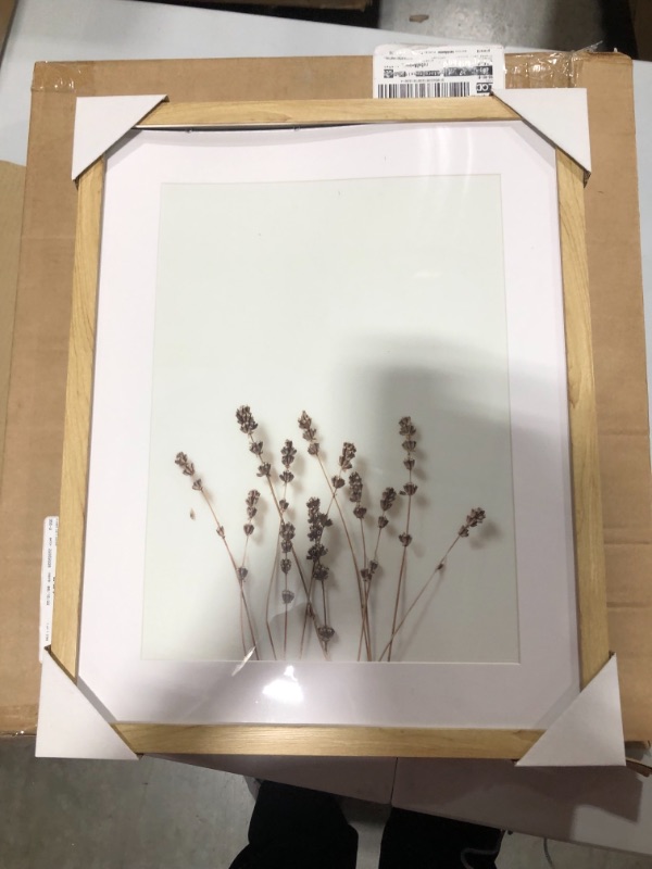 Photo 2 of 16" X 20" Wildflower Framed Under Glass - Threshold™ Designed with Studio McGee