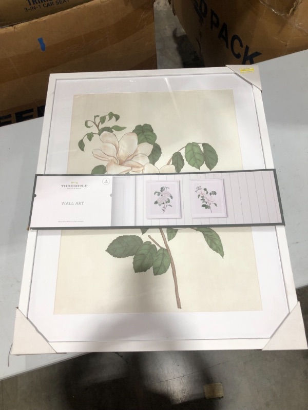 Photo 2 of (Set of 2) 24" x 30" Flowers Framed Wall Art White - Threshold™