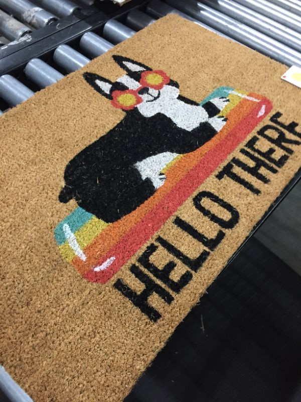 Photo 2 of 1'6x2'6 Hello Summer Dog Doormat Natural - Sun Squad
