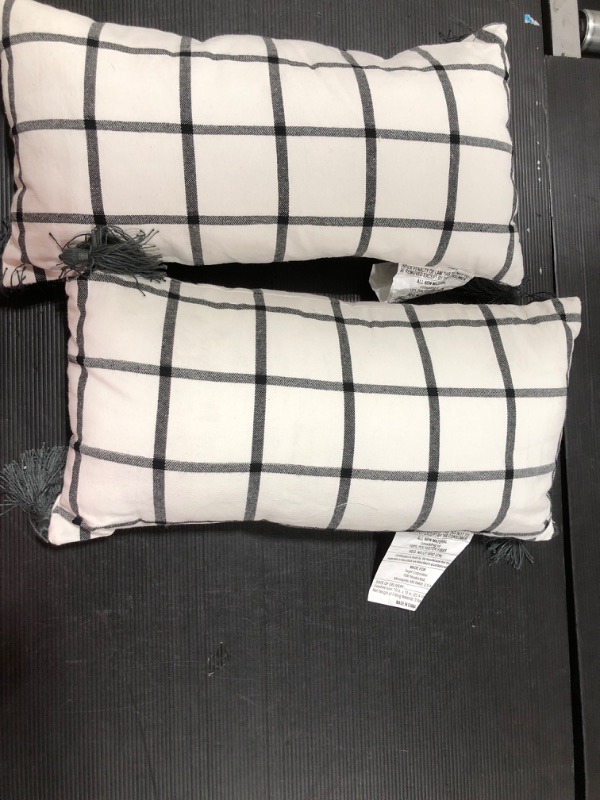 Photo 1 of (2 PACK) DECORATIVE PILLOWS