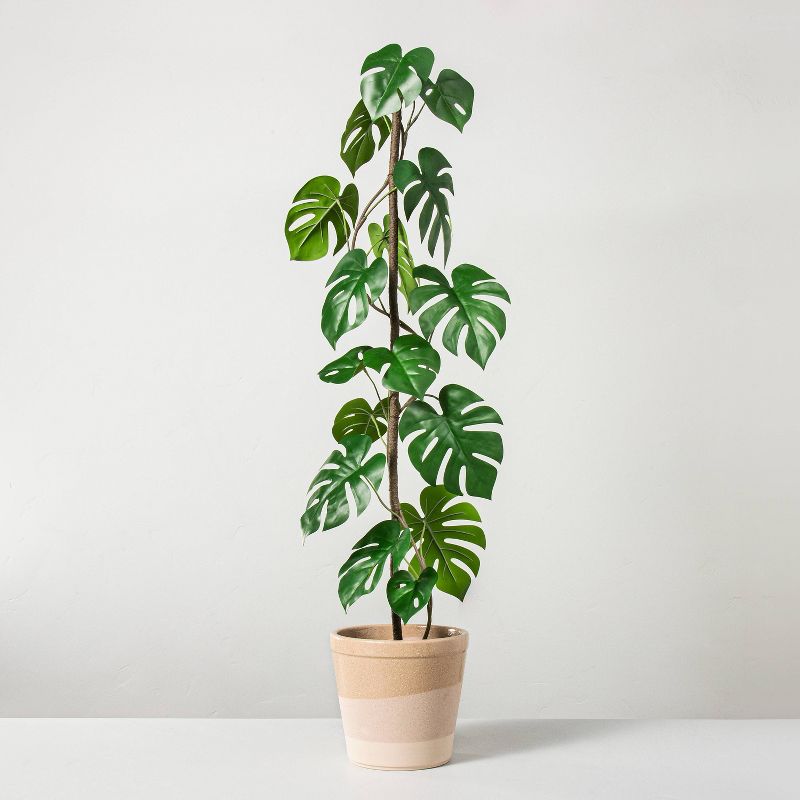 Photo 1 of 38.5" Faux Monstera Potted Plant - Hearth & Hand™ with Magnolia

