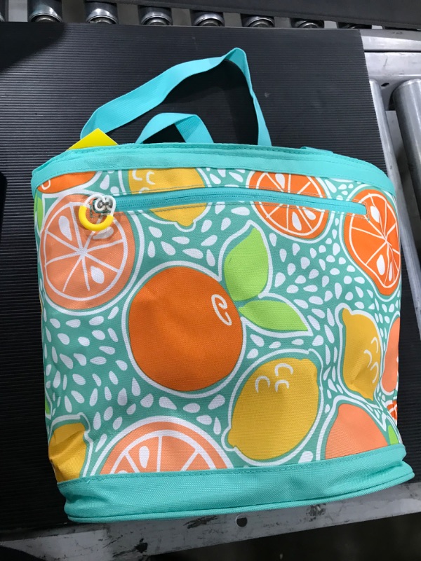 Photo 2 of 4.5qt Tote Cooler Fruit - Sun Squad