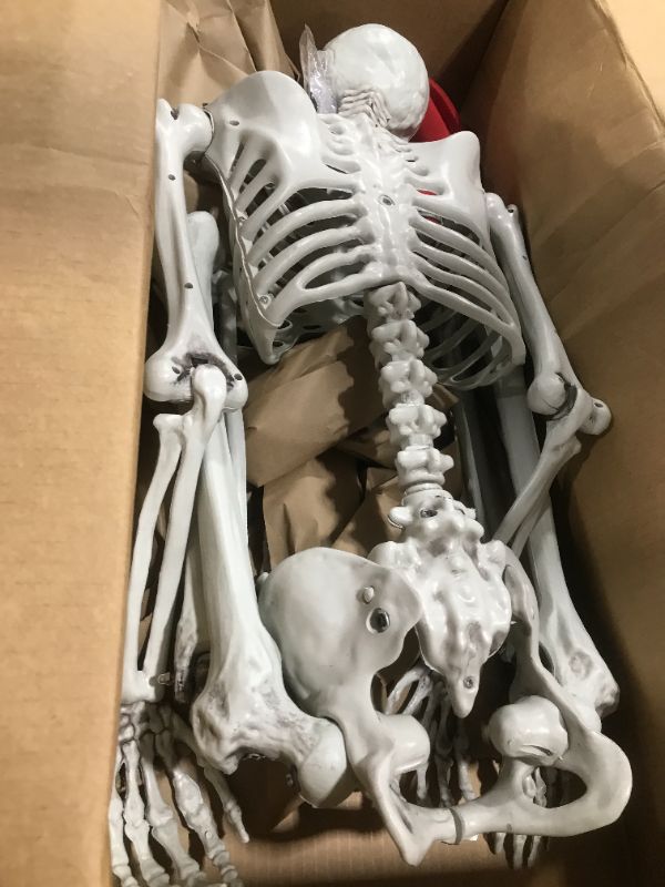 Photo 2 of 5 ft Pose-N-Stay Life Size Skeleton Full Body Realistic Human Bones with Posable Joints for Halloween Pose Skeleton Prop Decoration