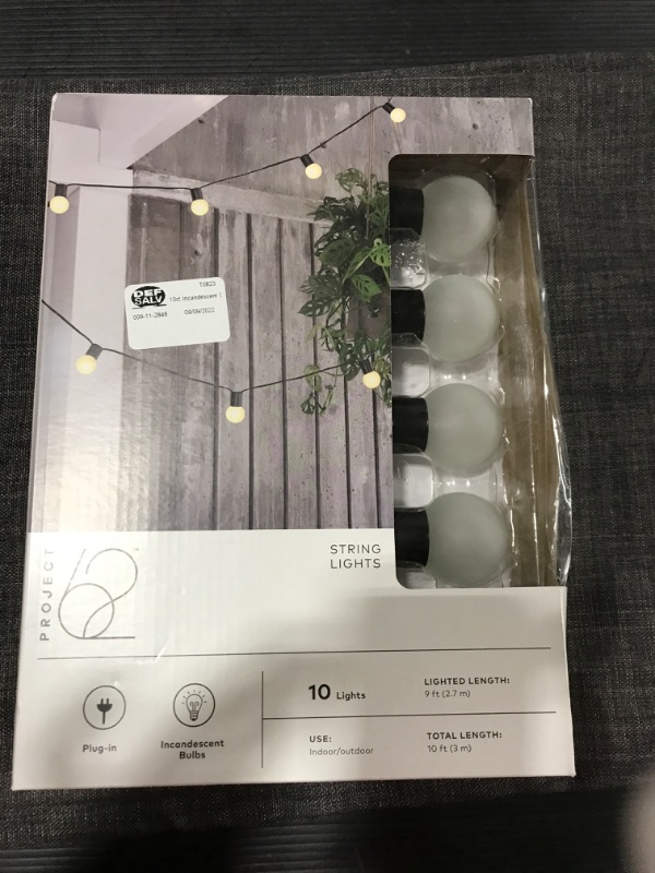 Photo 2 of 10ct Incandescent Outdoor String Lights G40 Frosted White Bulbs - Project 62