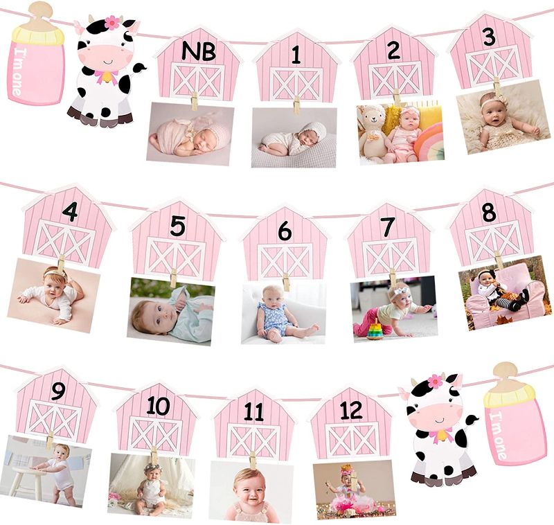 Photo 1 of Cow First Birthday Party Decoration Pink Cow Theme Baby Shower Photo Banner for Newborn to 12 Months for Baby Girls Farm Theme 1st Birthday Party Supplies 