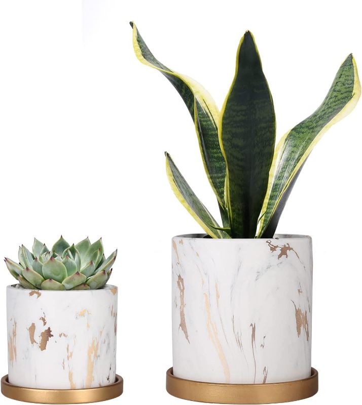 Photo 1 of Baodan Ceramic Planters with Drainage, 6 + 4 Inch Marble Plant Pots for Indoor Plants with Saucers, Ceramic Marble Pot Succulent Planters for Plants - 2 Pack
