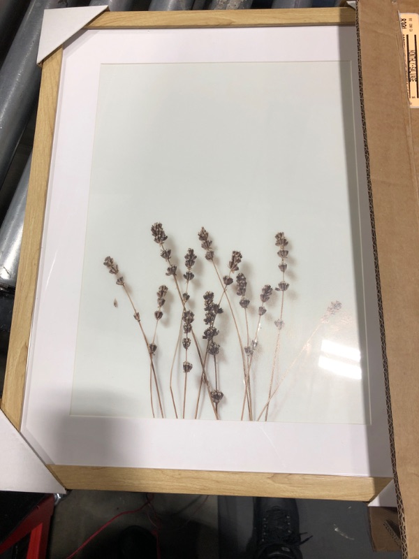 Photo 2 of 16" X 20" Wildflower Framed Under Glass - Threshold™ Designed with Studio McGee
