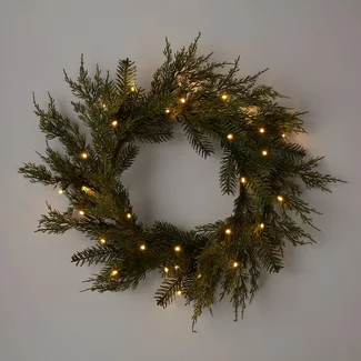 Photo 1 of 22" Pre-lit Mixed Greenery Artificial Christmas Wreath LED Warm White Lights - Wondershop™

