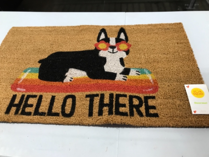 Photo 2 of 1'6"x2'6" Hello Summer Dog Doormat Natural - Sun Squad™

