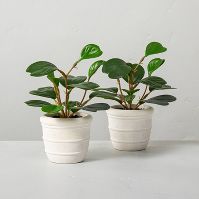 Photo 1 of 2 PACK Faux Mini Hoya Heart Potted Plant - Hearth & Hand™ with Magnolia

