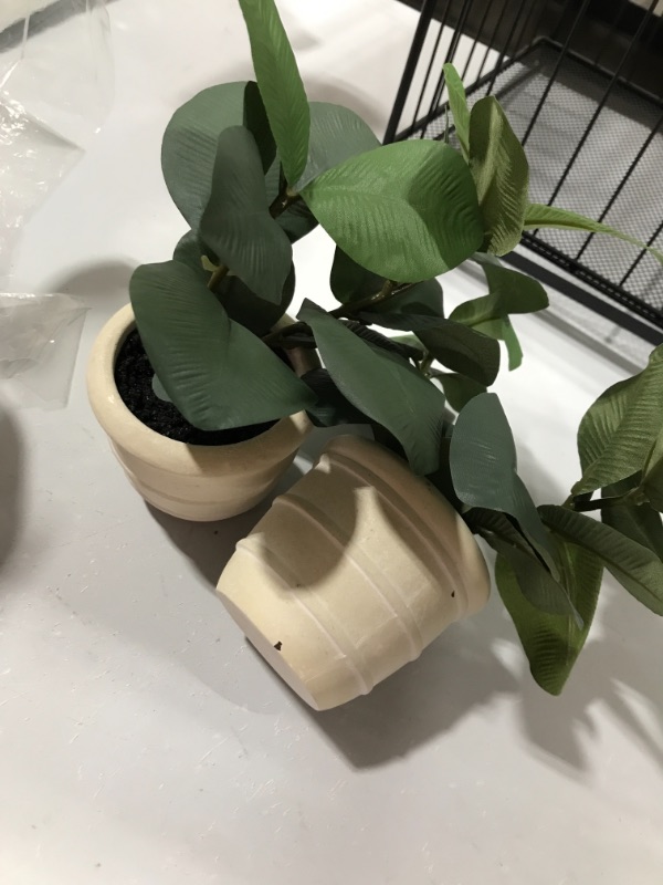 Photo 2 of 2 PACK Faux Mini Hoya Heart Potted Plant - Hearth & Hand™ with Magnolia

