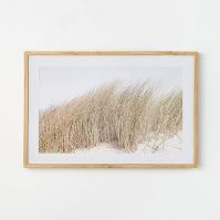 Photo 1 of 36" x 24" Grassy Dune Framed Wall Art - Threshold™ designed with Studio McGee

