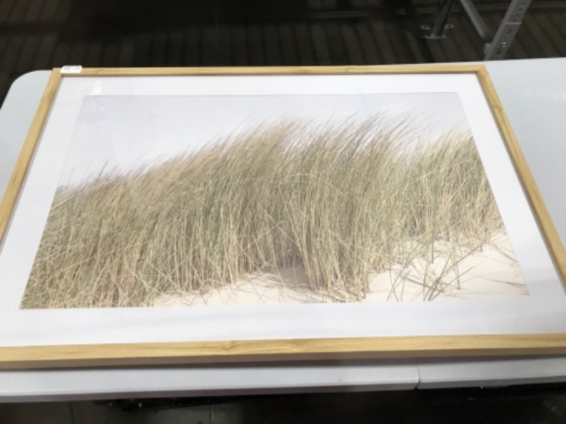 Photo 2 of 36" x 24" Grassy Dune Framed Wall Art - Threshold™ designed with Studio McGee

