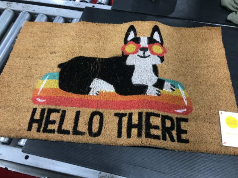 Photo 2 of 1'6x2'6 Hello Summer Dog Doormat Natural - Sun Squad
