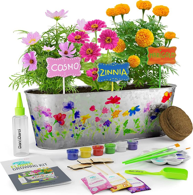 Photo 1 of  Paint & Plant Flower Craft Kit for Kids