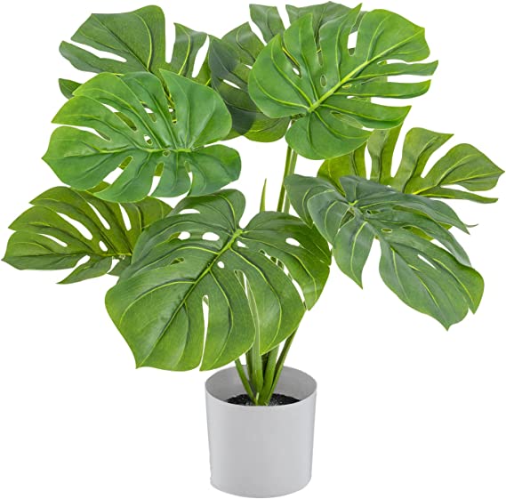 Photo 1 of  Artificial Monstera Plant 24"