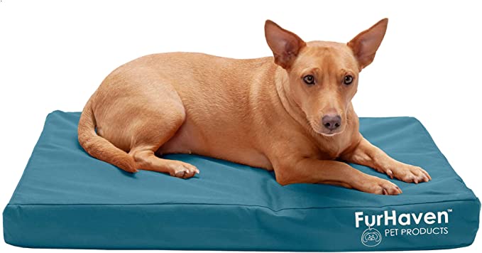 Photo 1 of [USED] Furhaven Medium Orthopedic Dog Bed