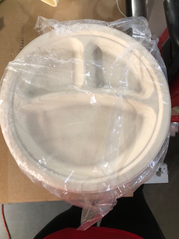 Photo 2 of 100% Compostable 9 Inch Paper Plates [125-Pack]