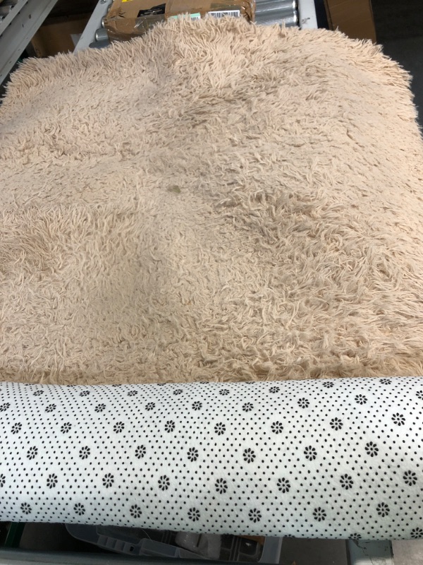 Photo 1 of Amangel Ultra Soft Rugs, Luxurious Fluffy Area Rug, 3' x 5', Plush Rugs, Beige