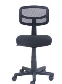 Photo 1 of Mesh Task Chair with Plush Padded Seat