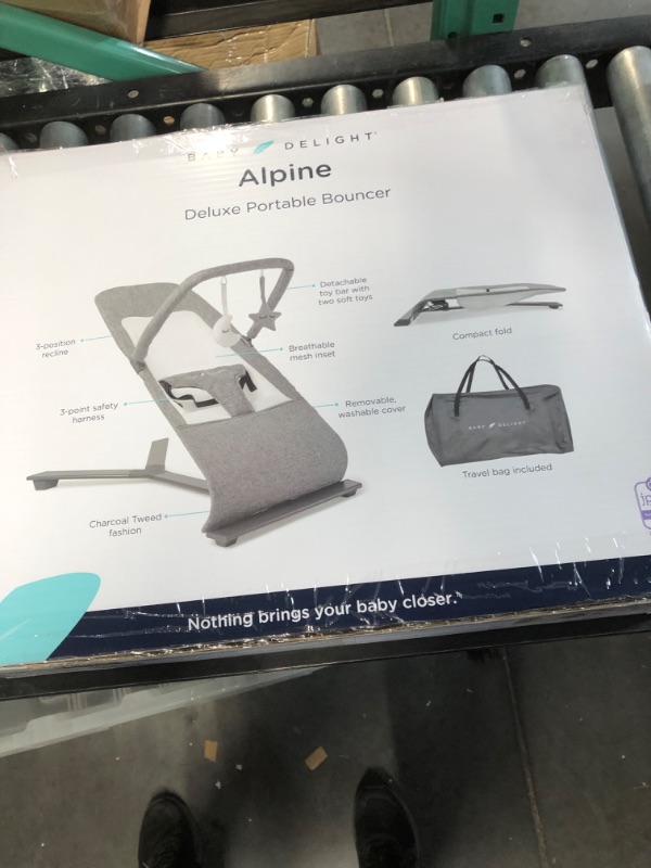 Photo 3 of Baby Delight Go With Me Alpine Deluxe Portable Bouncer 