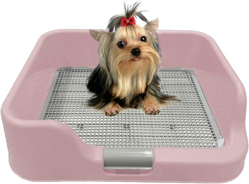 Photo 1 of [PS Korea] Indoor Dog Potty Tray – with Protection Wall Every Side for No Leak, Spill, Accident - Keep Paws Dry and Floors Clean (Pink)