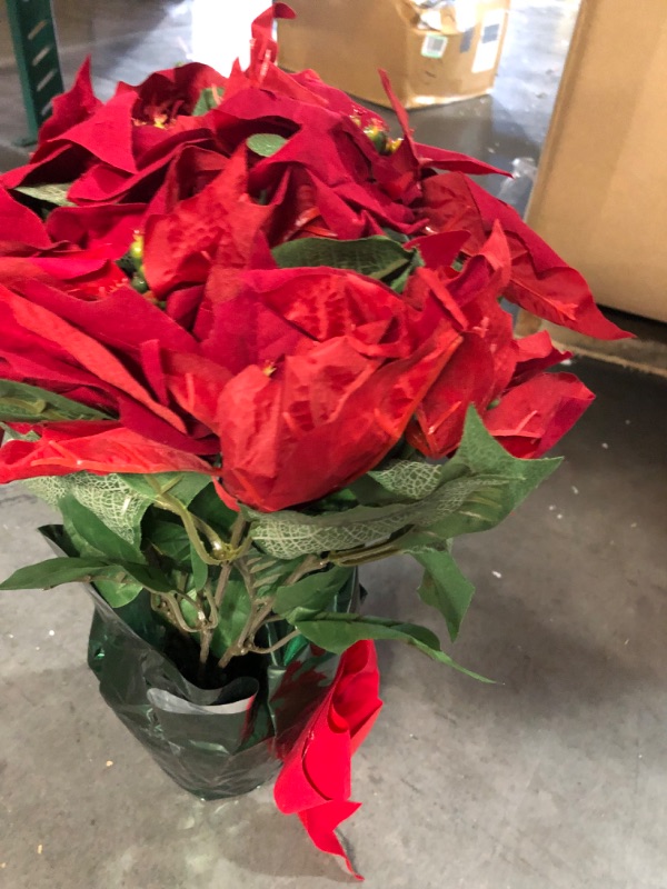 Photo 4 of  *SEE NOTES* Potted Red Poinsettia Plant 22"