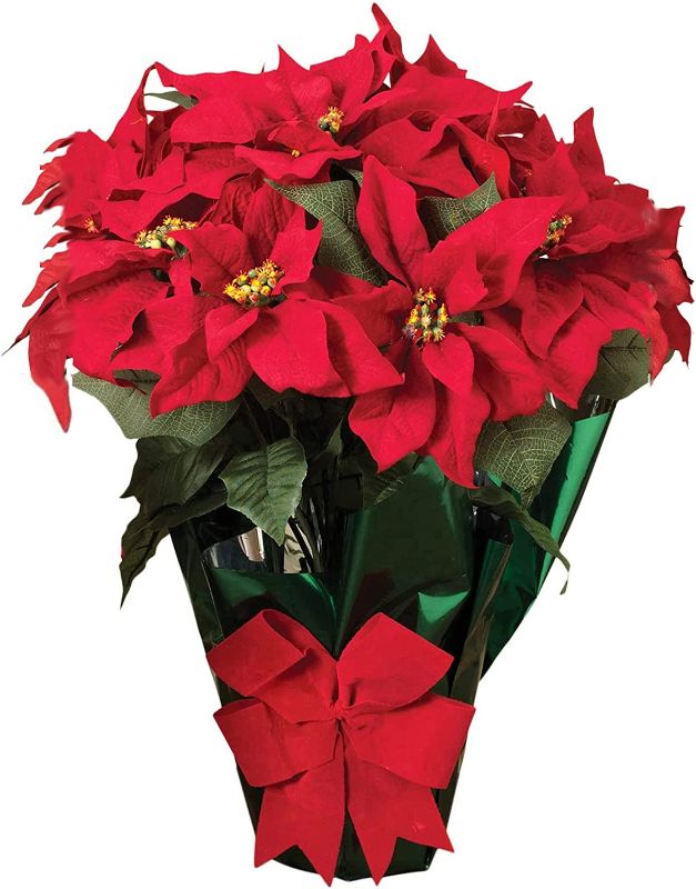Photo 1 of  *SEE NOTES* Potted Red Poinsettia Plant 22"