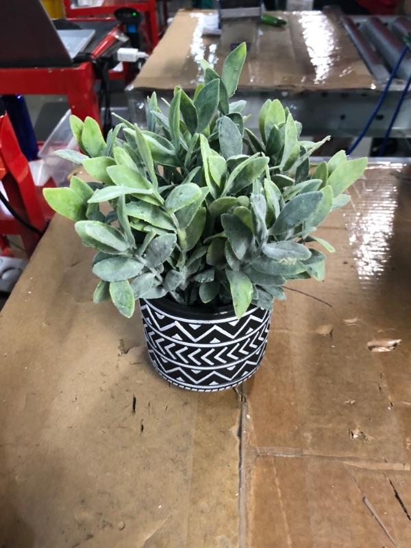 Photo 2 of [Brand New] Kazeila 3 Pack Artificial Potted Plants,Fake Snake Plant,Greenery Eucalyptus Leaves and Flocked Sage Plant,Faux Desk Plants for Indoor Home Office Farmhouse Kitchen Bathroom Table Decor