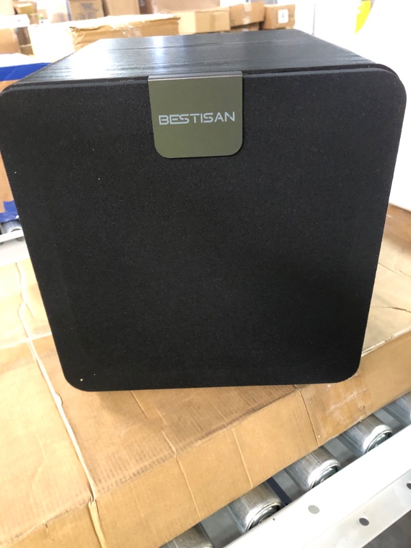 Photo 2 of BESTISAN 100-Watt Powered Subwoofer