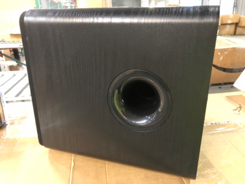 Photo 5 of BESTISAN 100-Watt Powered Subwoofer