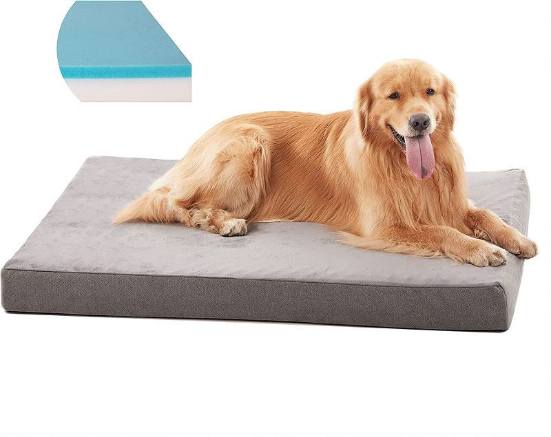 Photo 1 of *SEE NOTES* Memory Foam Orthopedic Dog Bed for Medium, Large Dogs