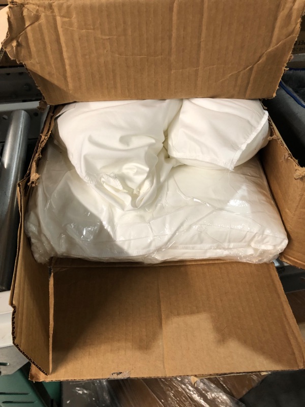 Photo 3 of *USED/ONE PILLOW OPENED*** Phantoscope 20 x 20 Outdoor Pillow Inserts - PACK OF TWO