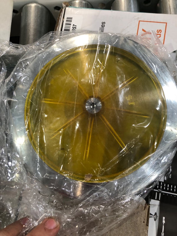 Photo 2 of 1 Kilo Discus - Transparent Yellow