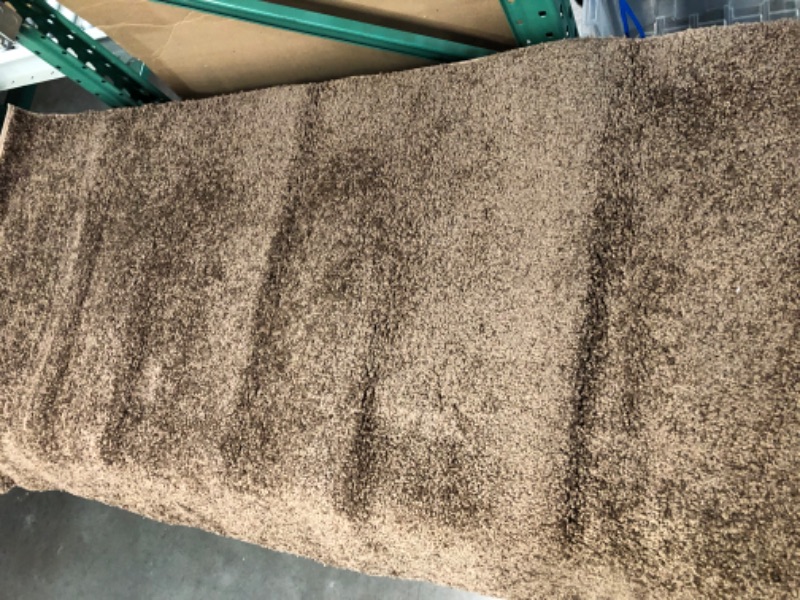 Photo 1 of 59"x39 1/2" Brown Shag Rug