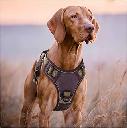 Photo 1 of YVYV TACTICAL DOG HARNESS FOR SMALL, LARGE DOGS NO PULL - ADJUSTABLE PET HARNESS, SOFT AND BREATHABLE DOG VEST, REFLECTIVE HARNESS FOR DOG***SIZE S (LOOKS LIKE SIZES RUN LARGE. COULD FIT MED OR LARGE DOG)