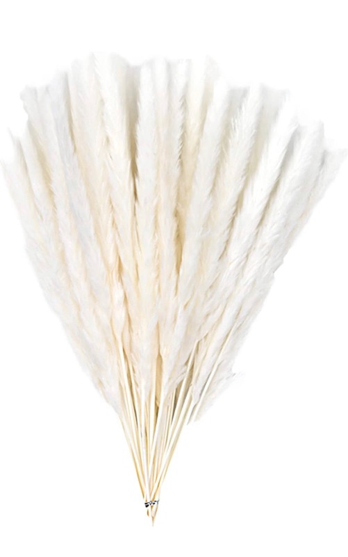 Photo 1 of 60 Pc + 30 Pc White Pampas Grass Decor 