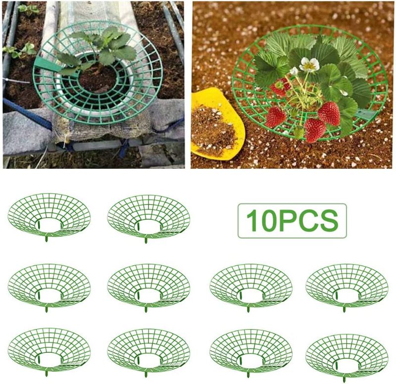 Photo 1 of 10-Pack Strawberry Supports, Adjustable Strawberry Growing Racks Plant Climbing Rack Vine Pillar Garden Stand Balcony Vegetable Rack for Keeping Fruit Elevated to Avoid Ground Rot
