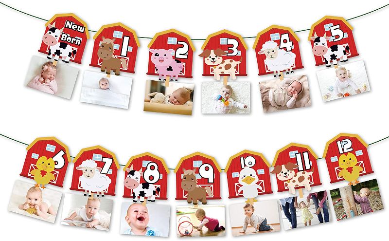 Photo 1 of Farm Animal 1st Birthday Photo Banner Newborn to 12 Month Display Milestone Farm Theme First Year Baby Banner Farm Animal Party Supplies Decorations
