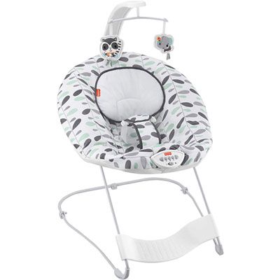 Photo 1 of Fisher-Price See and Soothe Deluxe Bouncer, Climbing Leaves, Soothing Infant Seat