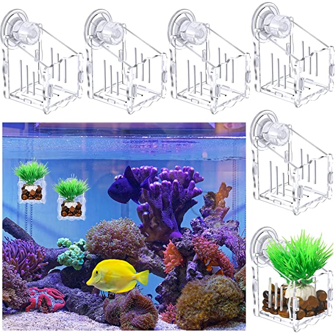 Photo 1 of 6 Pcs Aquatic Plant Cups with Hole Transparent Acrylic Aquatic Plant Pot with Strong Suction Cups Aquarium Plant Holder Mini Aquarium Plant Pot Aquarium Pots for Plants Fish Tank Aquarium Decoration