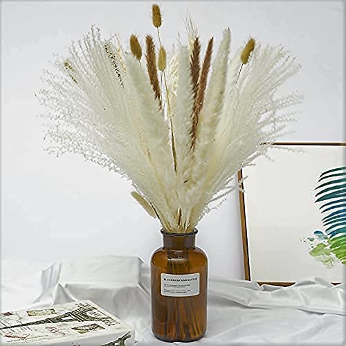 Photo 1 of 18 inch Naturally Dried Pampas Grass Bouquet for Home Decor and Wedding Centerpiece | Dried Pampas Grass| Pampas Grass Large (White)
-UNOPENED BOX-